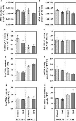 Biological nitrification inhibitor-trait enhances nitrogen uptake by suppressing nitrifier activity and improves ammonium assimilation in two elite wheat varieties